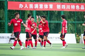 四川队战绩 四川队战绩